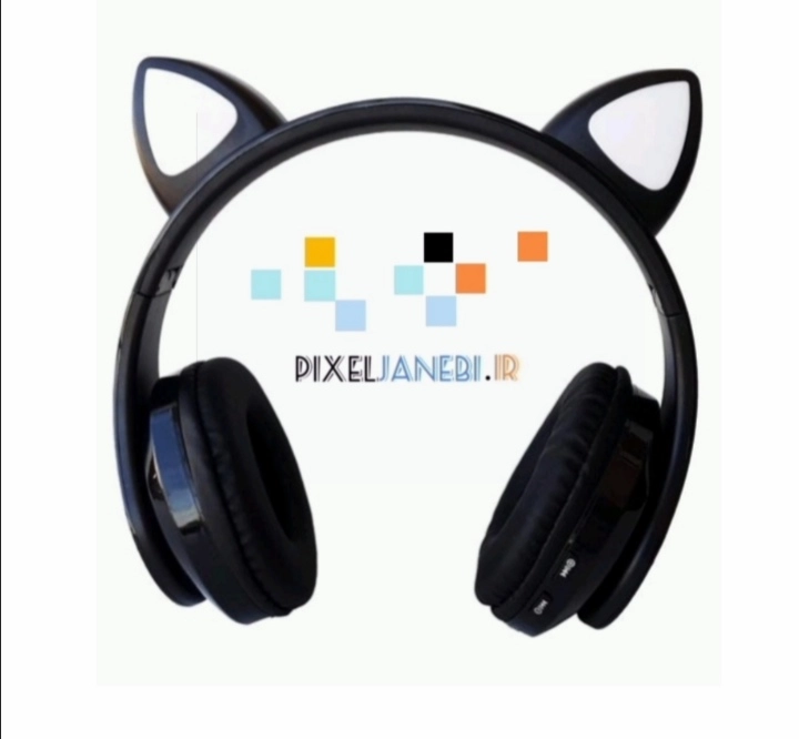 Ear Cat B39