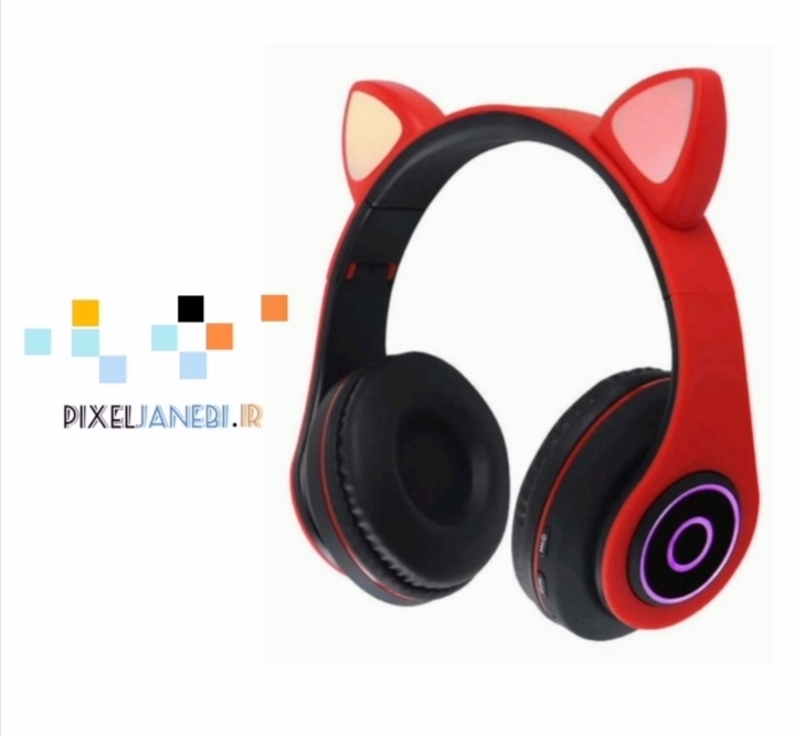 Ear Cat B39